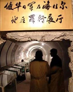 日本关东要塞海报剧照