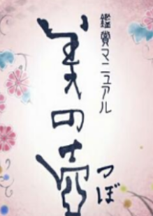 美之壶.青瓷海报剧照