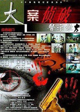 大案侦破警示录海报剧照
