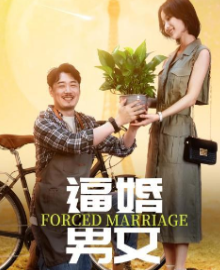 逼婚男女海报剧照