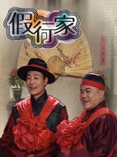 假行家海报剧照