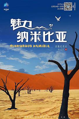 魅力纳米比亚海报剧照