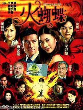 火蝴蝶海报剧照