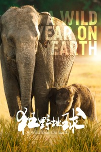 狂野地球海报剧照