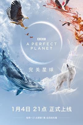 完美星球海报剧照