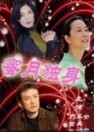 蜜月独身海报剧照