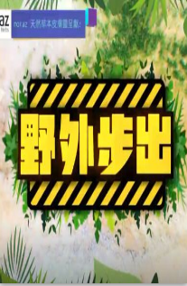 野外步出海报剧照