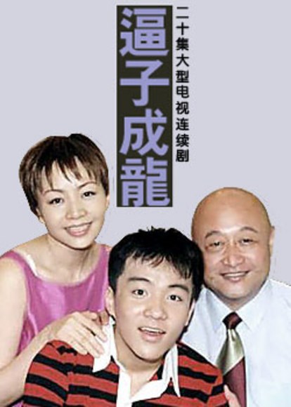 老爸老妈之逼子成龙海报剧照
