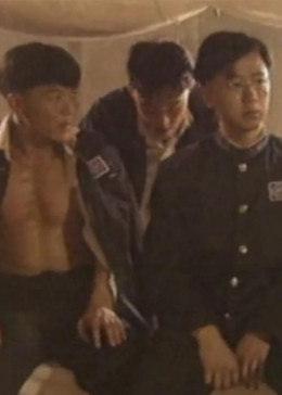 沧海之恋海报剧照