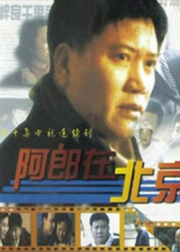 阿郎在北京海报剧照