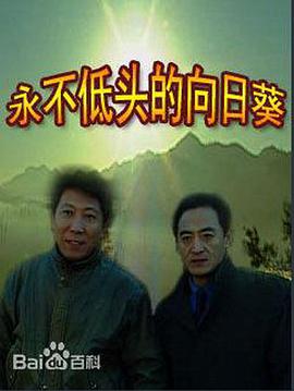永不低头的向日葵海报剧照