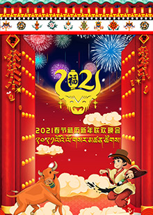 2021春节藏历新年联欢晚会海报剧照