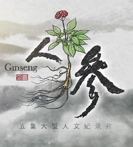人参海报剧照