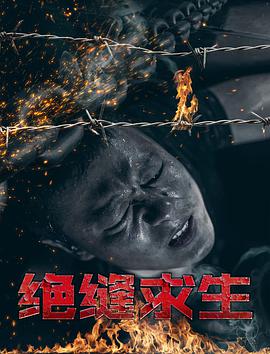 绝缝求生海报剧照