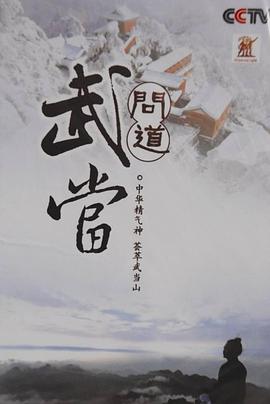 问道武当海报剧照
