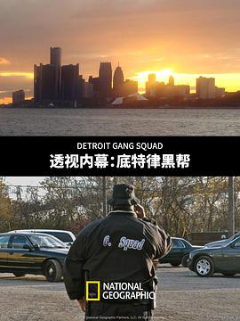 透视内幕底特律黑帮海报剧照