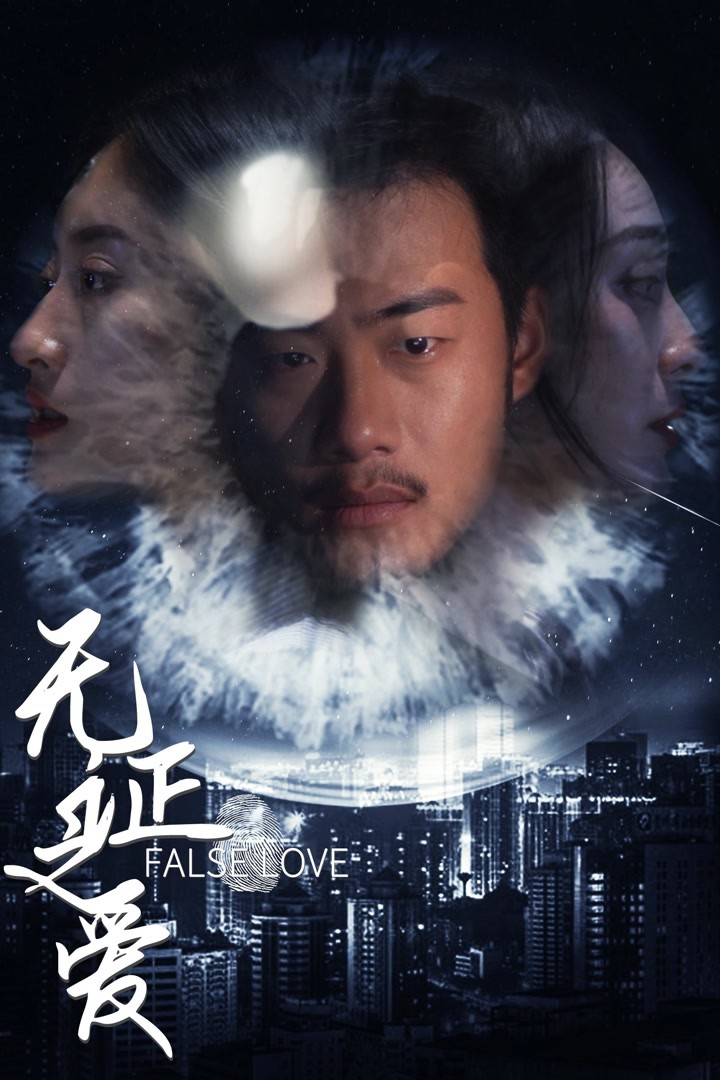 无证之爱海报剧照
