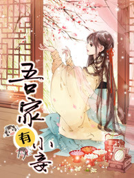 吾家有小妾第一季海报剧照