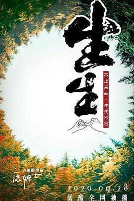 生生2020海报剧照