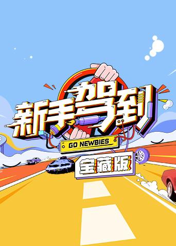 新手驾到宝藏版海报剧照