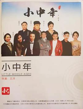 小中年海报剧照