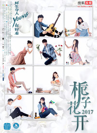 栀子花开2017海报剧照