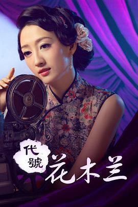 代号花木兰海报剧照