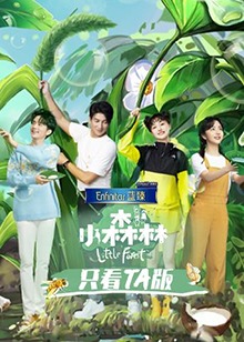 小森林只看TA版海报剧照