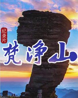 梵净山海报剧照