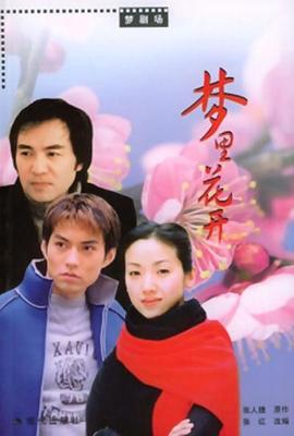 梦里花开海报剧照