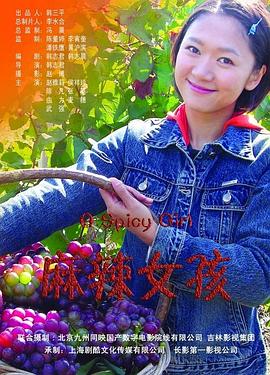 麻辣女孩2013海报剧照
