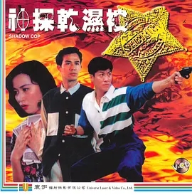 神探干湿褛1993海报剧照