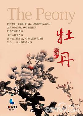 牡丹海报剧照