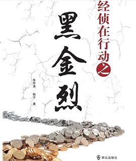 经侦在行动之黑金烈海报剧照