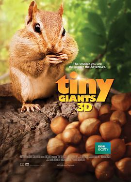 小巨人3D2014海报剧照