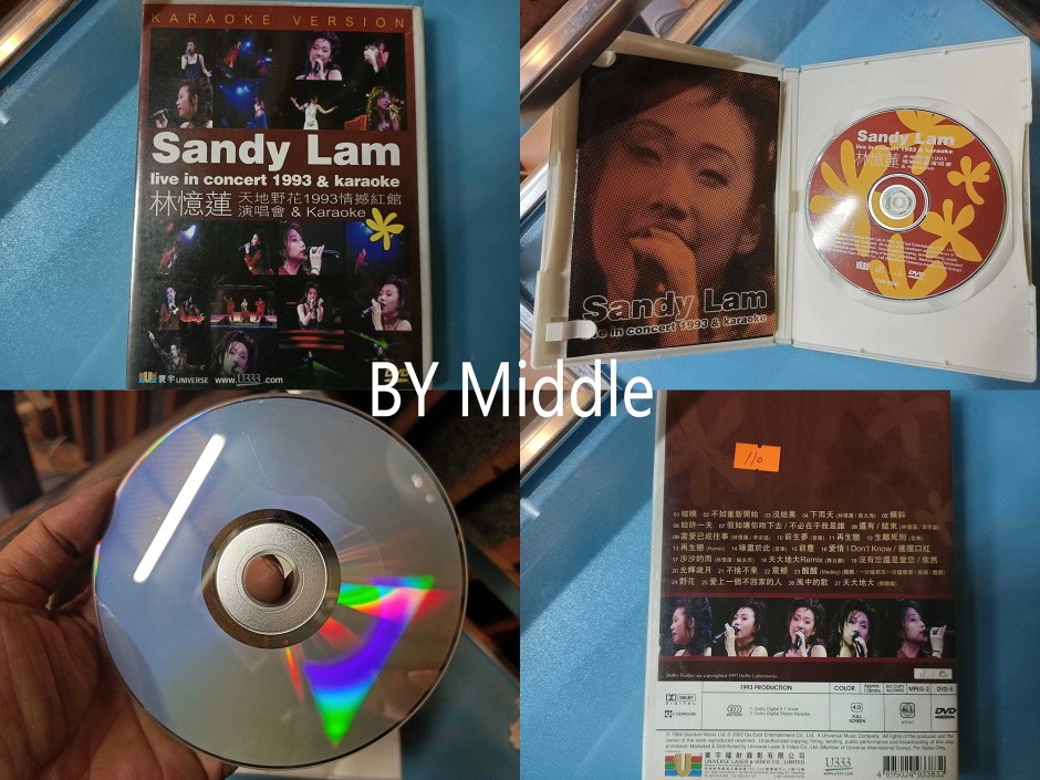 林忆莲-1993年天地野花.情撼红馆演唱会海报剧照