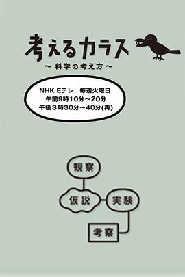 像乌鸦一样思考海报剧照