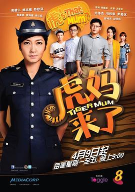 虎妈来了海报剧照