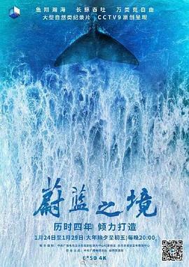 蔚蓝之境2020海报剧照