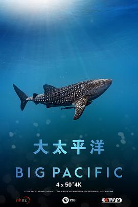 大太平洋国语海报剧照