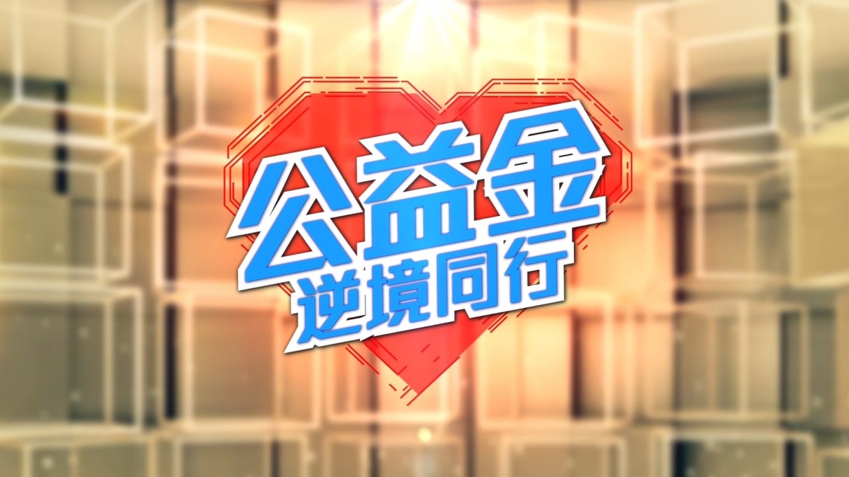 万众同心公益金海报剧照