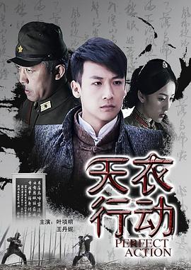 天衣行动2011海报剧照