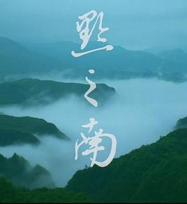 黔之南海报剧照