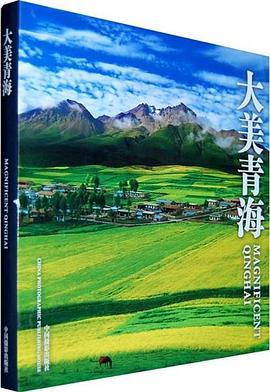 大美青海海报剧照