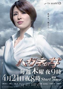 钢之女海报剧照