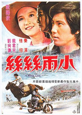 小雨丝丝海报剧照