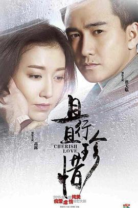 且行且珍惜2015海报剧照