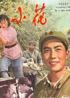 小花1979海报剧照