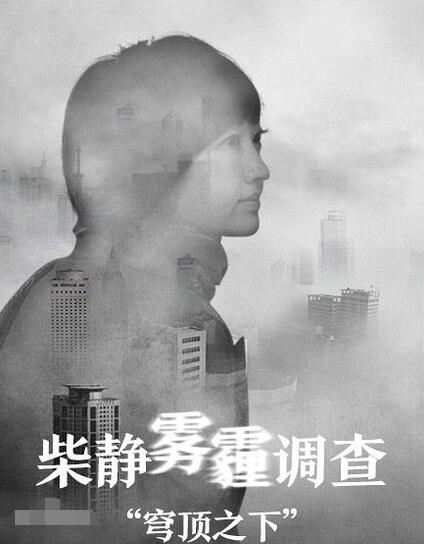 柴静雾霾调查：穹顶之下海报剧照