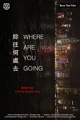 你往何处去海报剧照